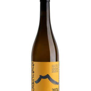 Susucaru Bianco 2024