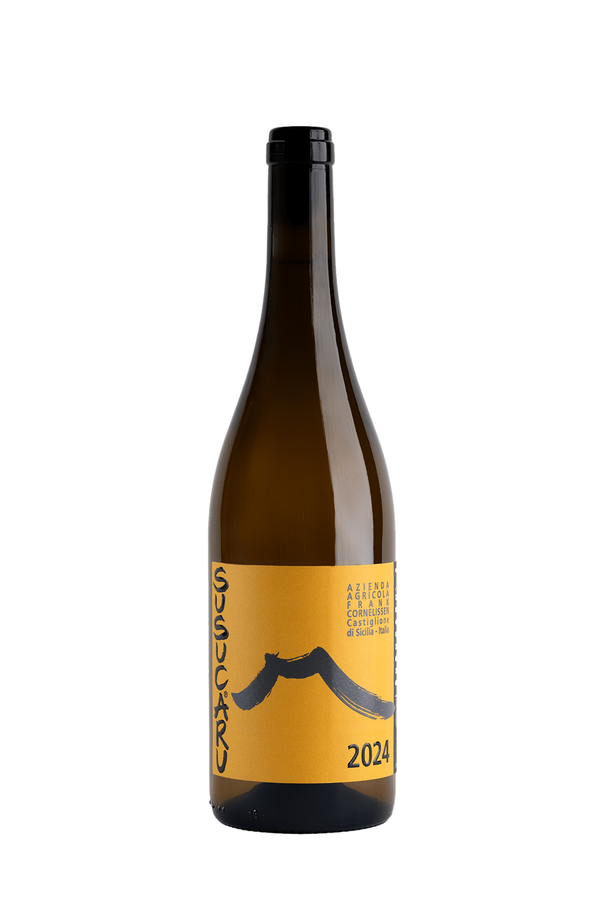 Susucaru Bianco 2024